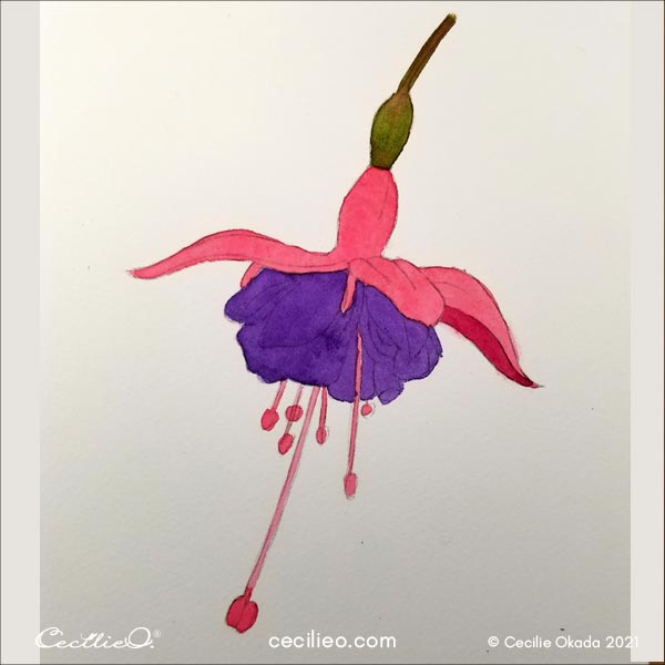 The watercolor fuchsia with the complete watercolor base.
