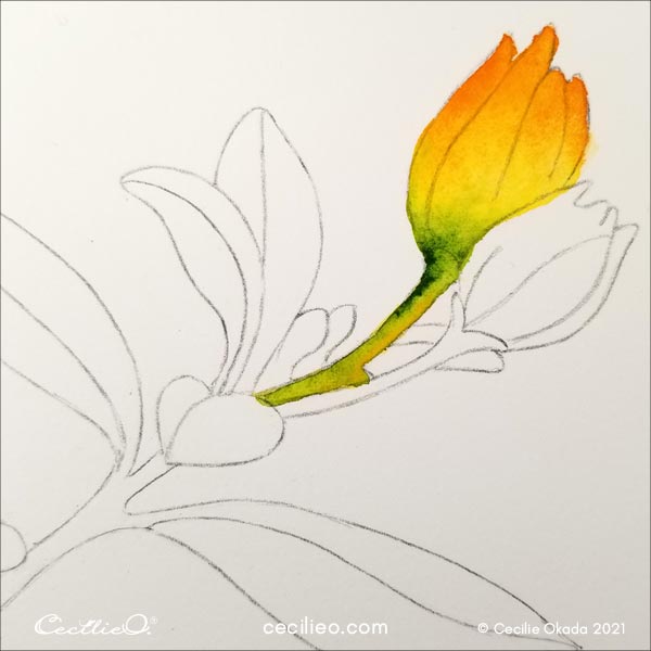 3D Flower Petals — Anita Goodesign
