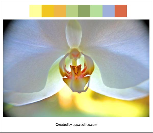 Flower color palette 1