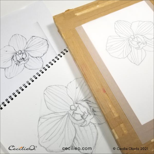 Drawing the orchid flower.