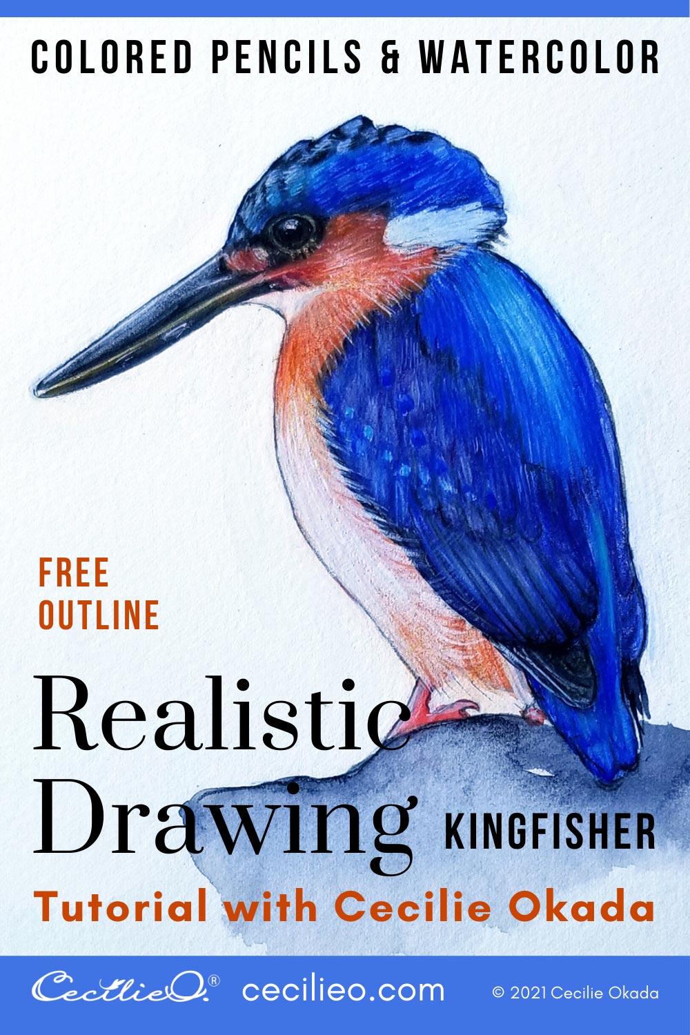 Kingfisher bird done in prismacolor pencils. By Shannon #inkpixie |  Kingfisher art, Bird drawings, Bird watercolor paintings