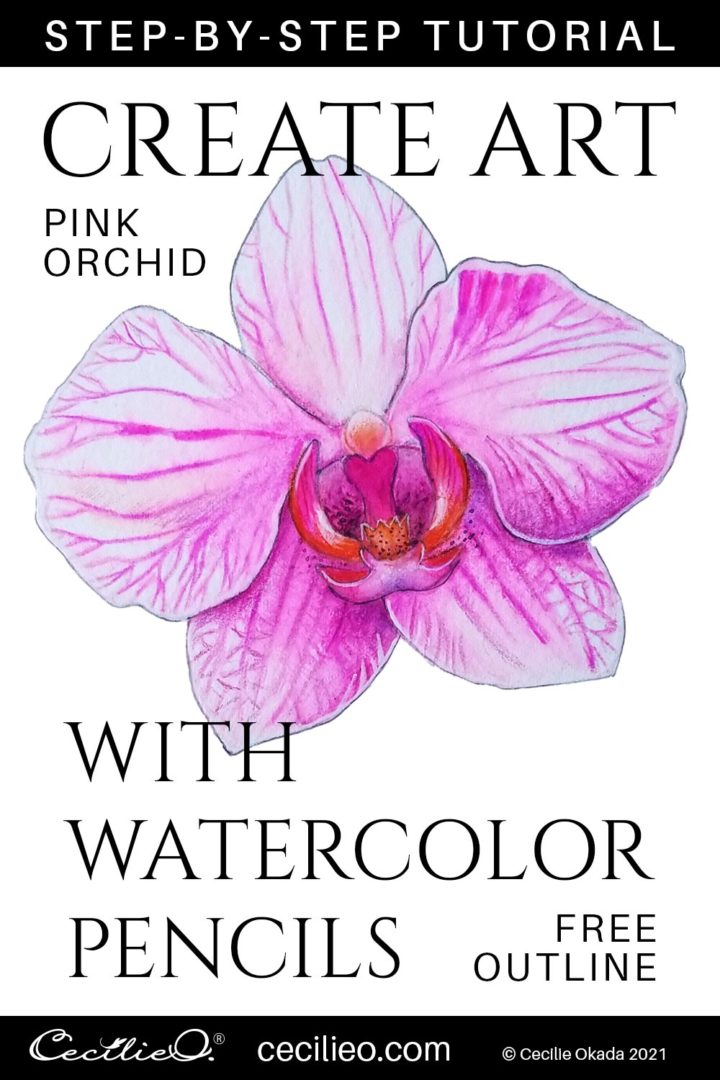 https://cecilieo.com/wp-content/uploads/2021/07/watercolor_pencils_tutorial_orchid_ceciilieo-720x1080.jpg