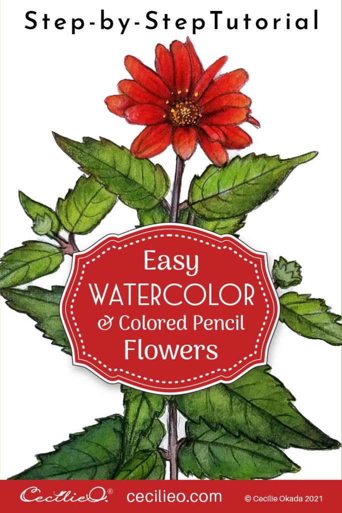 Easy watercolor art with a step-by-step tutorial for the beautiful red Mexican sunflower. Focus on the whole plant.