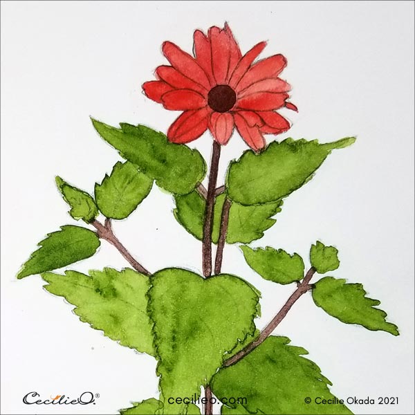 Easy Watercolor Art: Red Flower Tutorial With Colored Pencil Accents -  Cecilie Okada Design