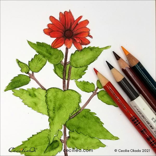beautiful red flower watercolour painting images | Photoskart