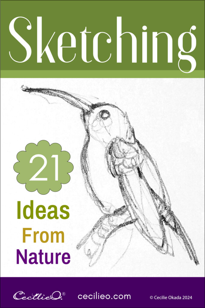 Beginner Sketching Ideas From Nature