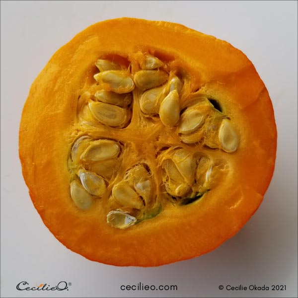 Reference photo of the cut pumpkin.