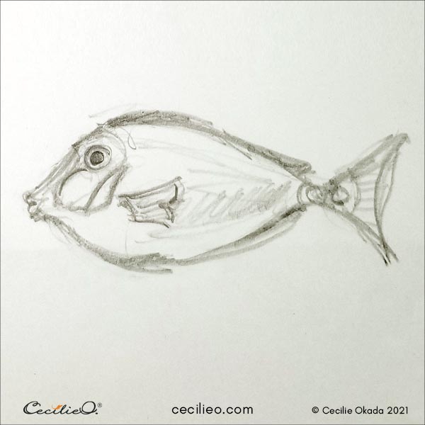 Surgeon fish sketch