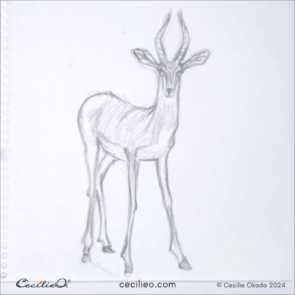 Sketch of a gazelle