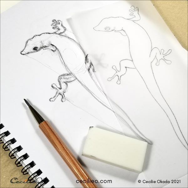 Gecko outline and tracing for watercolor paper.