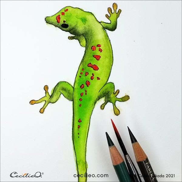 Touch-up with colored pencils and some more red on the spots. The gecko watercolor is done.
