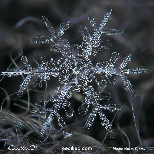 Reference phot of a real snowflake.