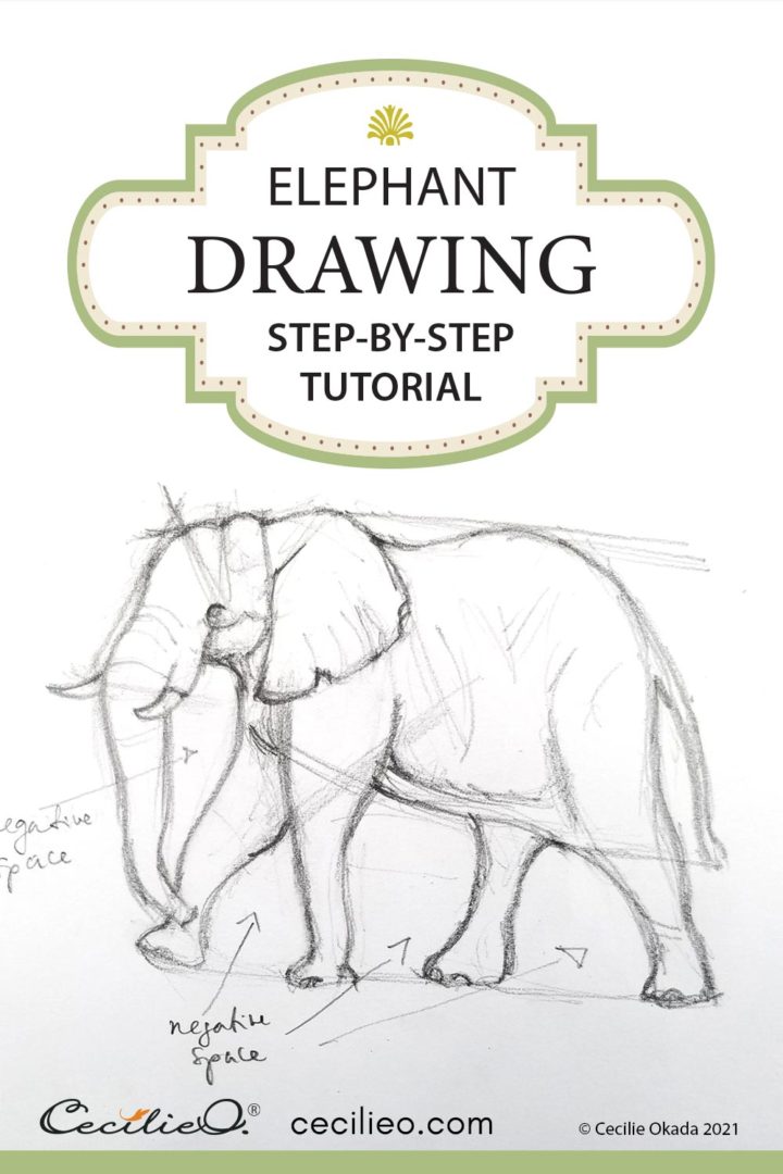 Cute baby elephant cartoon outline set easy Vector Image-saigonsouth.com.vn