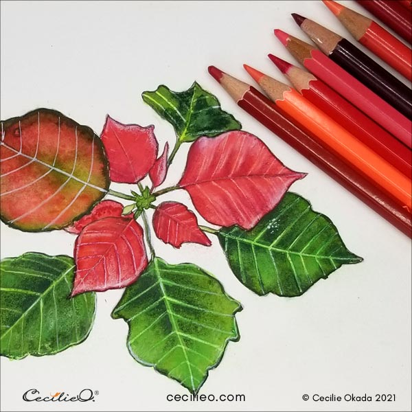 Drawing leaf details on the red leaves.