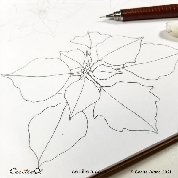 Redrawing the flower with darker lines.