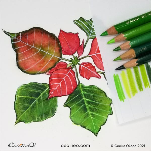 Drawing leaf details with colored pencils.