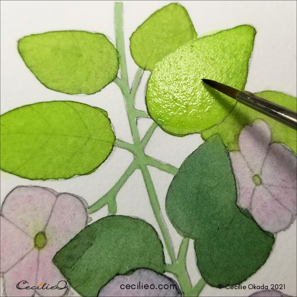 Painting the light green leaf with just water.