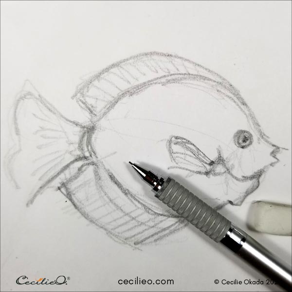 Rough sketch of the fish.