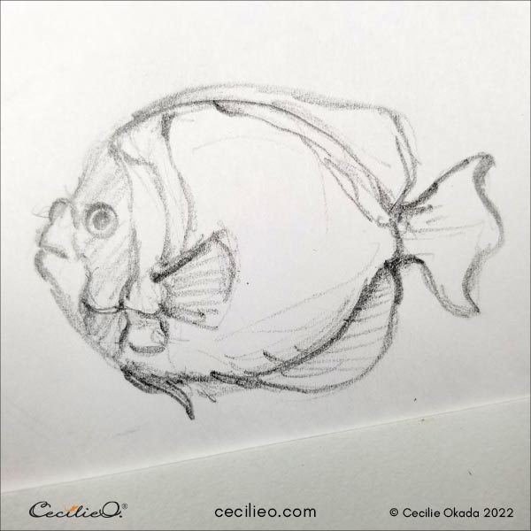 Sketch 3 aquarium fish.