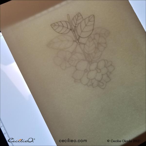 Tracing the outline onto watercolor paper, using a LED light tracing pad.