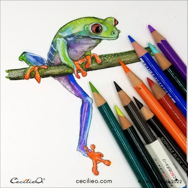 how to draw a realistic tree frog