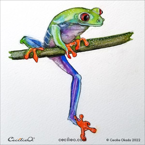 The finished watercolor tree frog.