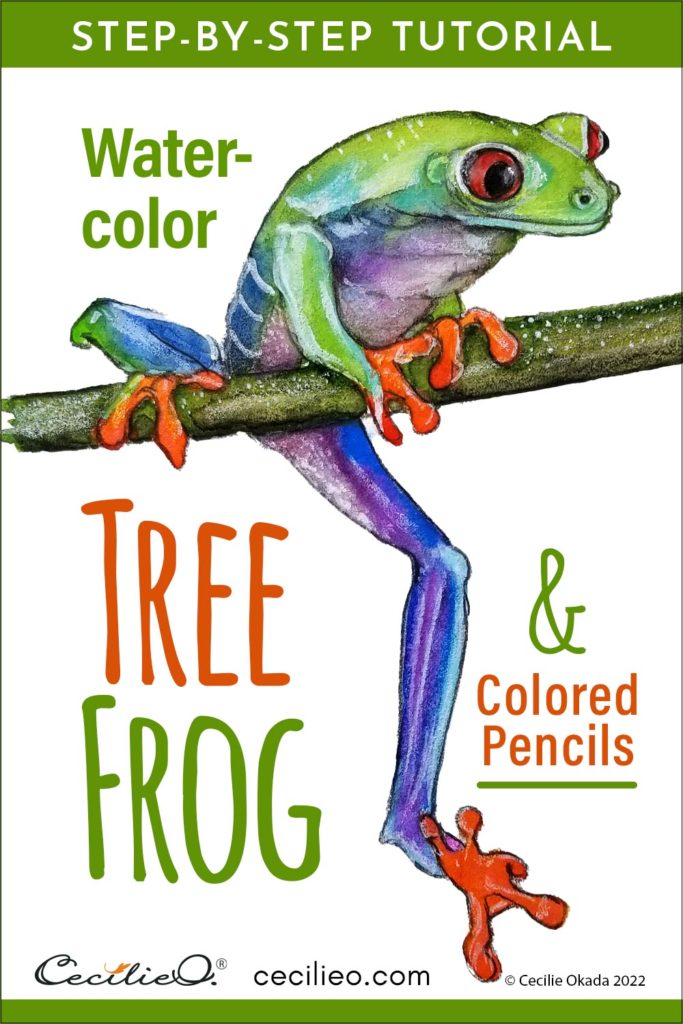 Play blending colors in this watercolor tree frog tutorial. Be creative and leapfrog your current watercolor skills. Splash out! Free outline.