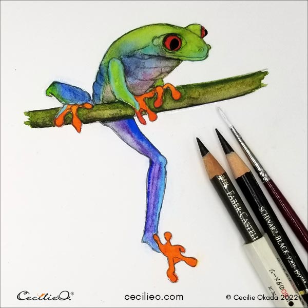 Frog Drawing - Learn to Draw an Easy Frog Drawing