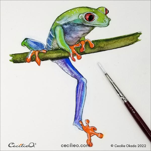 How to Draw a Frog - Step by Step Drawing Instructions - Easy Peasy and Fun
