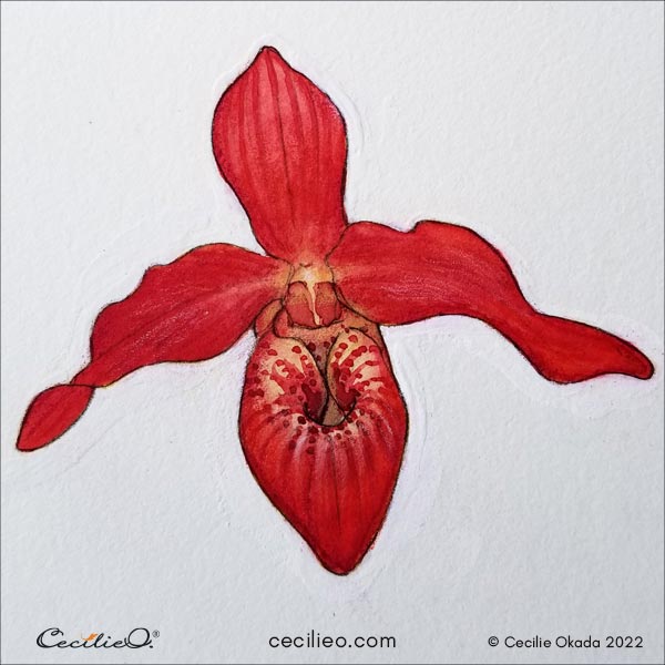 The completed watercolor painting of a red orchid.