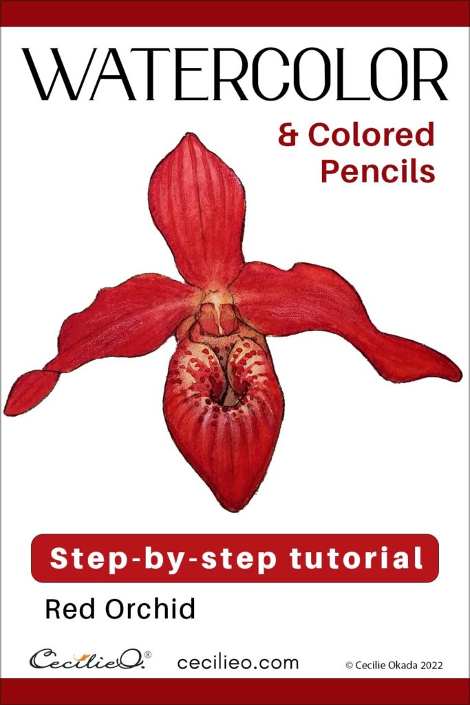 Flowers to Paint in Watercolor: Velvet-Red Slipper Orchid