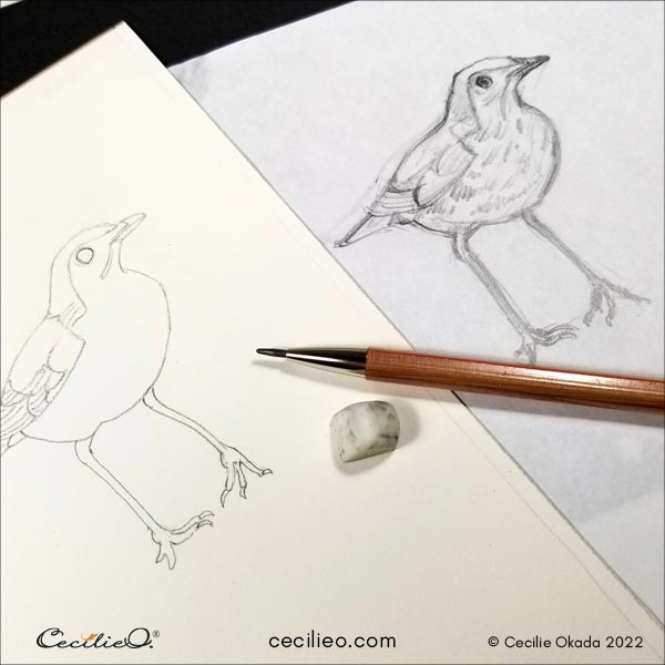 Sketch and an outline of the bird we are going to paint.