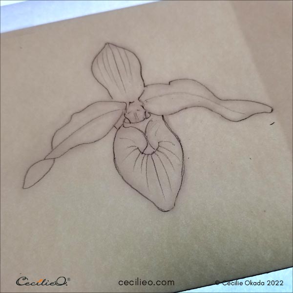 Tracing the outline of the orchid sketch.