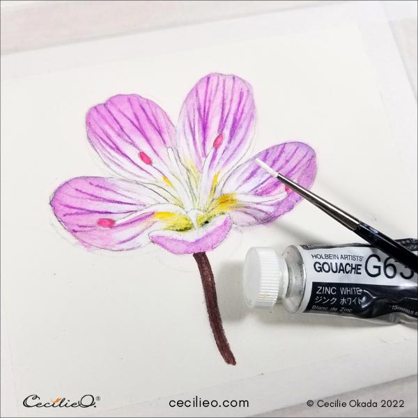 Painting the white stamens with gouache, and enhancing the white parts of the petals.