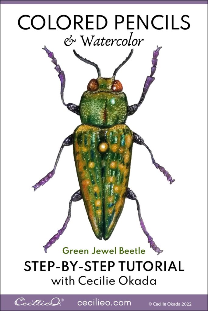 Colored Pencils Art Ideas: Jewel Beetle Tutorial
