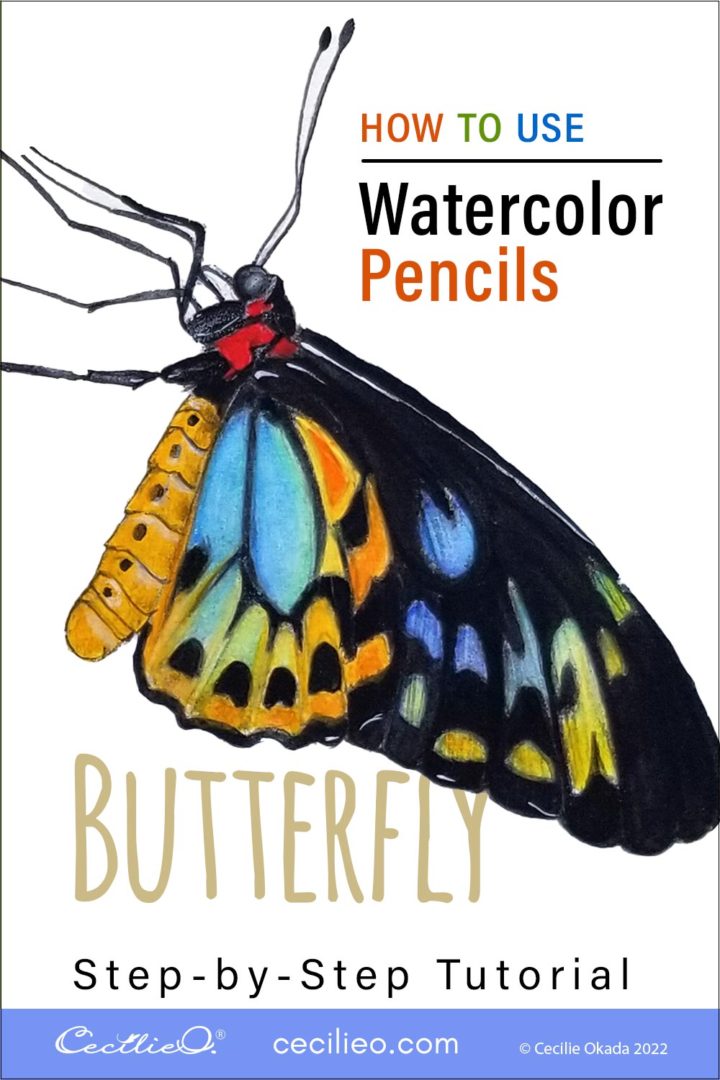 How to Use Watercolor Pencils: Colorful Butterfly