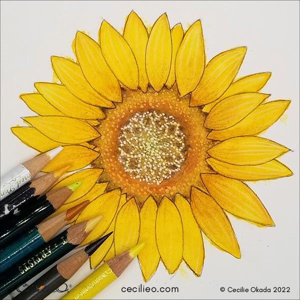 Polishing the watercolor sunflower with colored pencils.