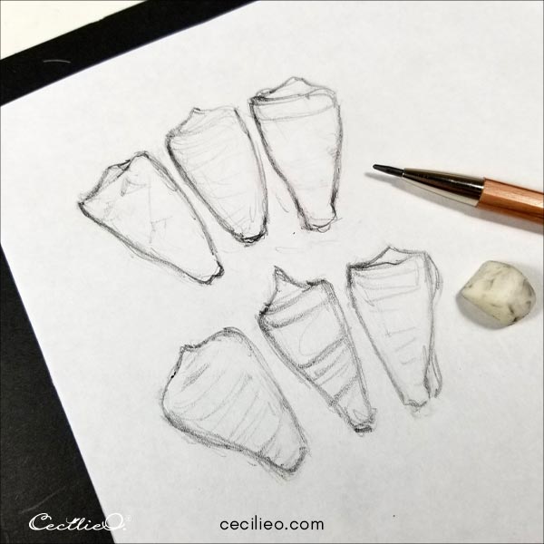 Quick sketch of the seashells. 