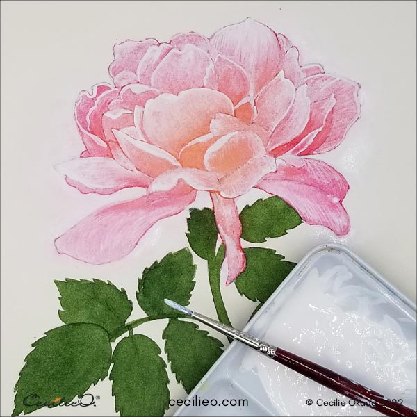 Painting Flowers Freely with Watercolors - Peony and Parakeet