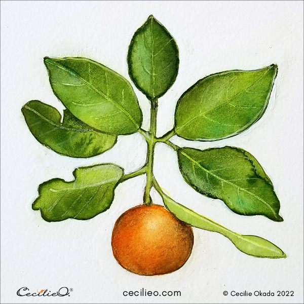 The completed painting of the orange watercolor with lush leaves.