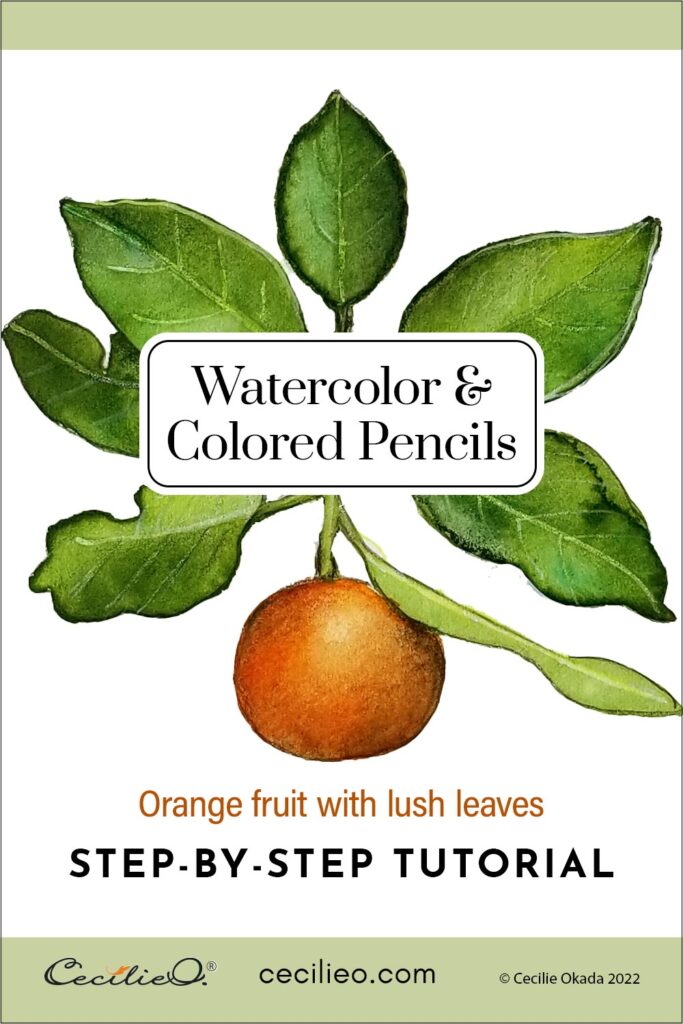 How to Watercolor Oranges on a Lush, Leafy Branch
