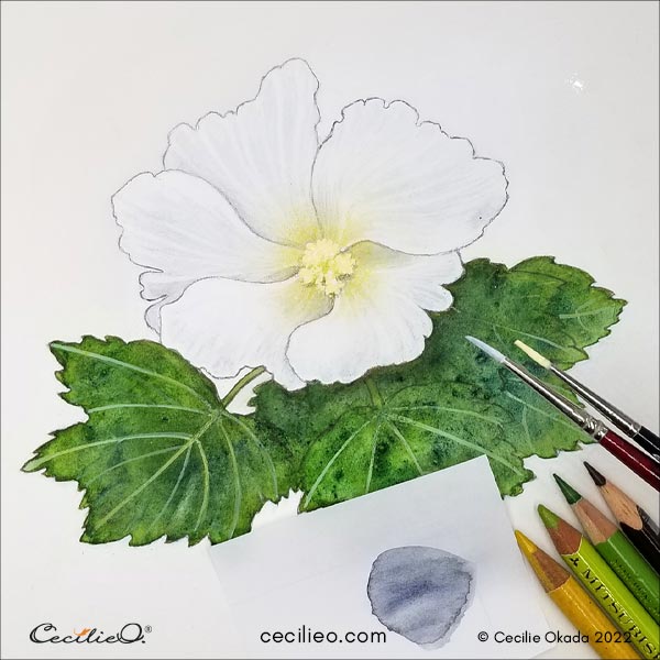 Hibiscus Flower Drawing for beginners #art #drawing #hibiscus #flower # drawings #apdrawing #art #pencil #marker #tutorial #intragram #pic... |  Instagram