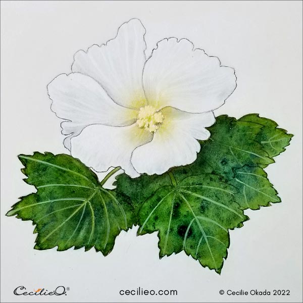 The completed white watercolor hibiscus flower.