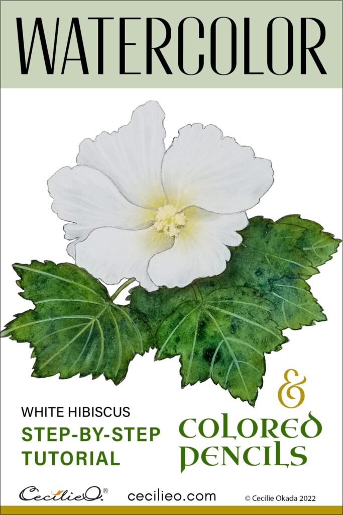 Watercolor hibiscus tutorial with a focus on white gouache. Paint the shadows first and then layer on the white petals.