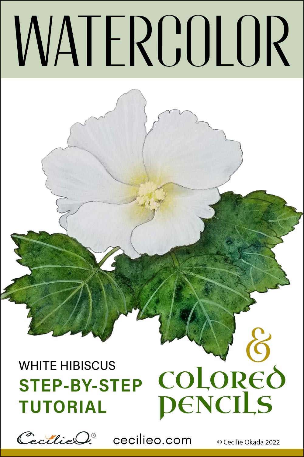 How to Watercolor a Delicate White Hibiscus Flower