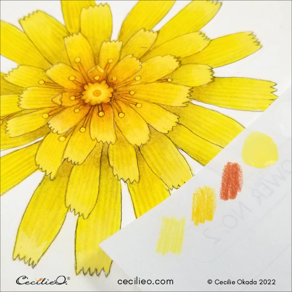MochiThings: Colored Pencil Drawing Flower Sticker