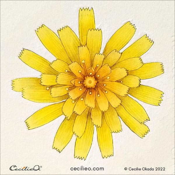 The completed yellow watercolor flower.