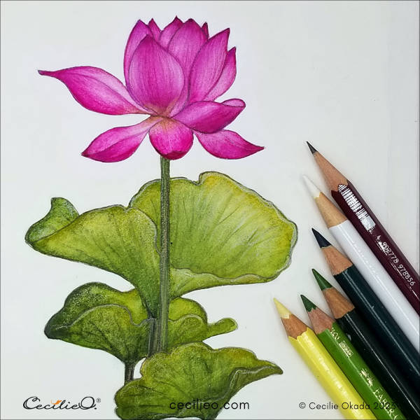 Adding fine details with various colored pencils.