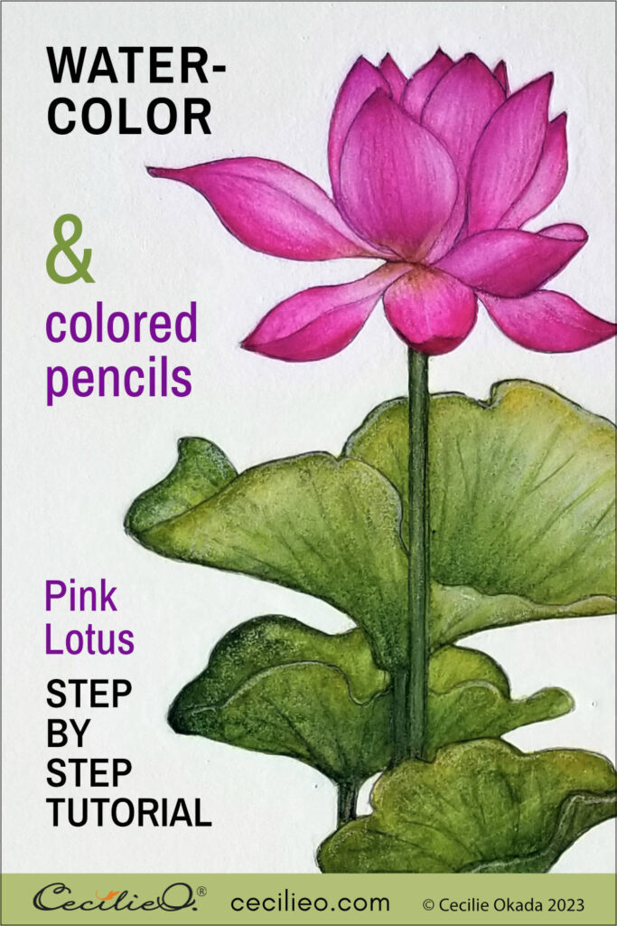 How to paint a lotus flower watercolor with graceful, beautiful petals. Realistic, intricate details with colored pencils finish. Access library with free outlines for free watercolor tutorials.