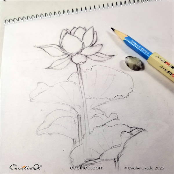 how to draw lotus flower/lotus drawing easy - YouTube
